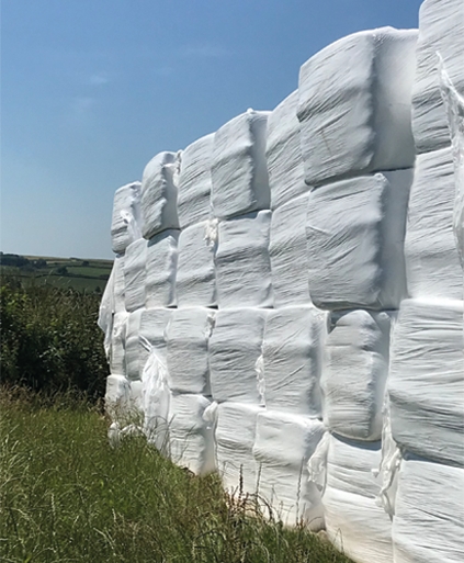Product Large